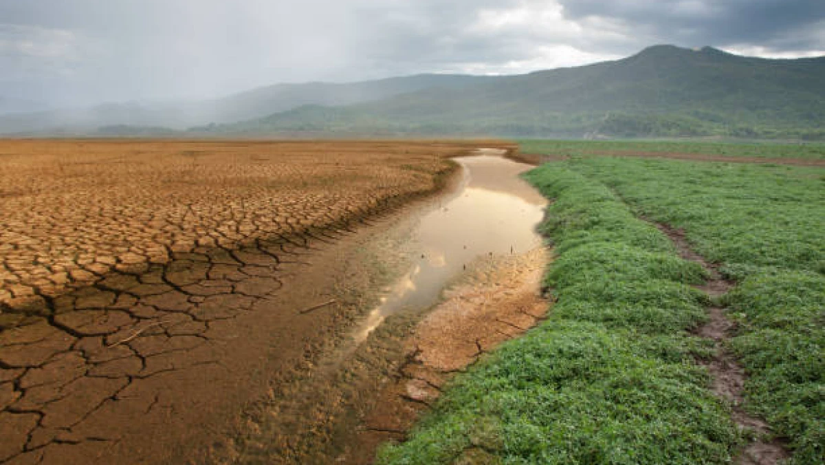 Bersiap Masuk Musim Kemarau, BMKG: Cuaca Cerah Mendominasi, tapi Hujan Masih Intai Sejumlah Wilayah