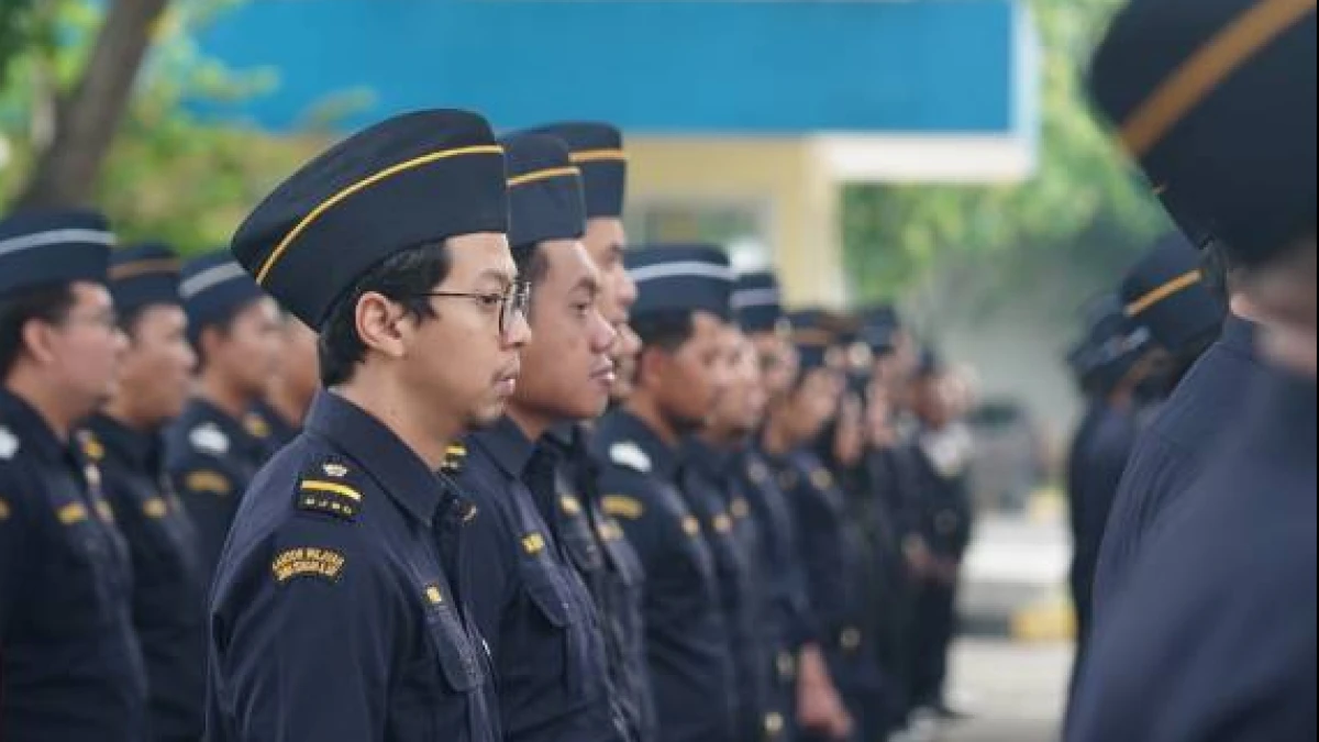 Siap-siap! Kemenkeu Segera Buka 300 Lowongan Kerja Pegawai Bea dan Cukai bagi Lulusan SMA