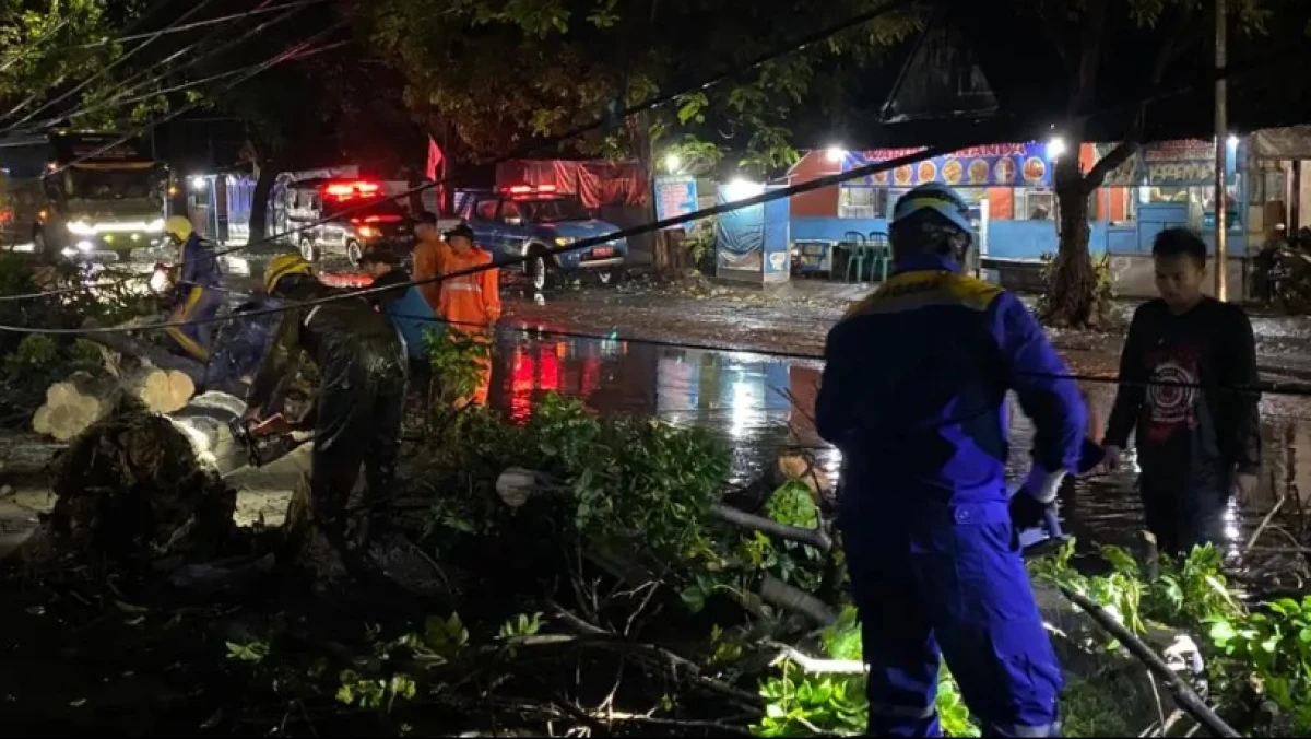 BNPB: Jabar, Jatim dan NTB Dikepung Banjir dan Angin Kencang, Ribuan KK Terdampak