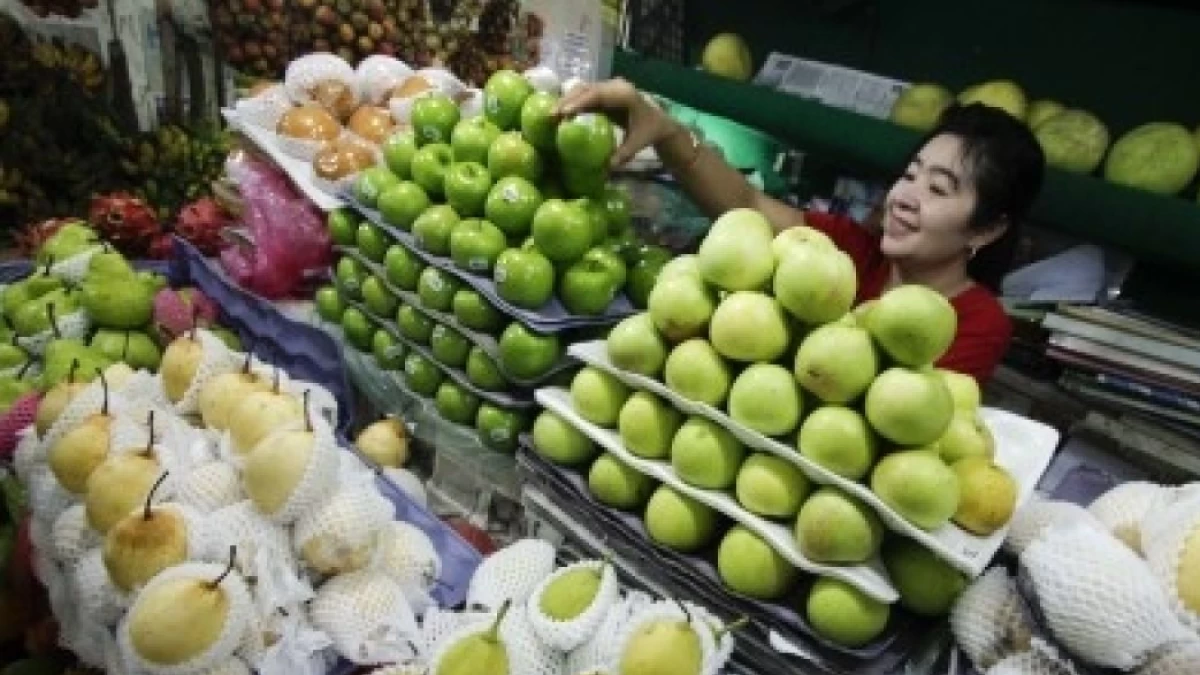 Kemendag Resmi Perketat Impor Komoditas Pertanian, Cek Daftar dan Aturan Barunya