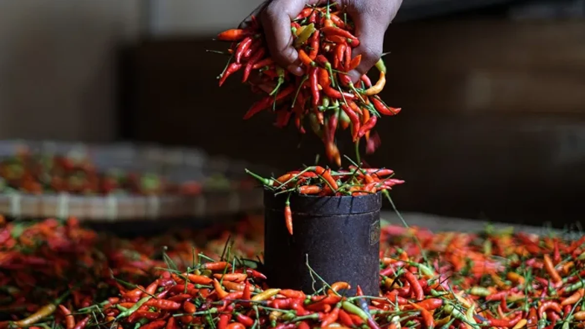 Harga Pangan di Jakarta 6 Februari: Cabai Rawit Makin Pedas Tembus Rp92.700 per Kg