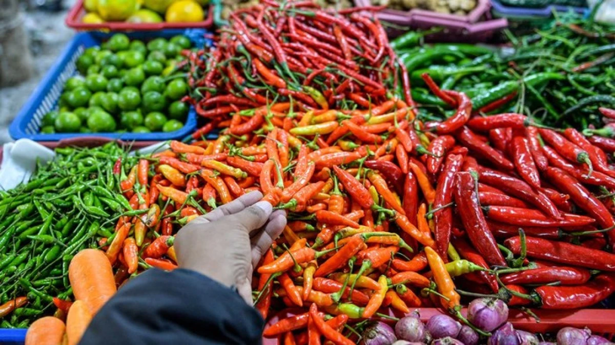 Harga Pangan di Pasar Tradisional Jakarta 16 Januari: Cabai Terjun Bebas