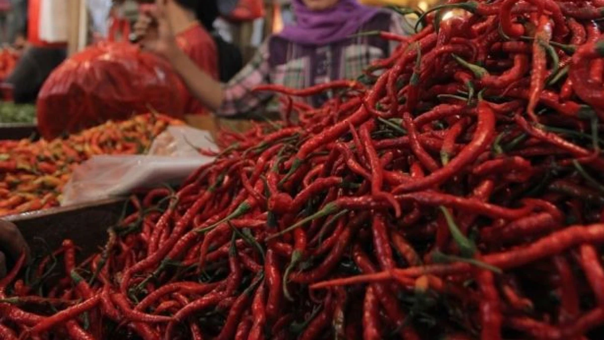 Harga Pangan di Jakarta 19 Januari: Cabai Masih Terus Turun, Beras dan Minyak Stabil