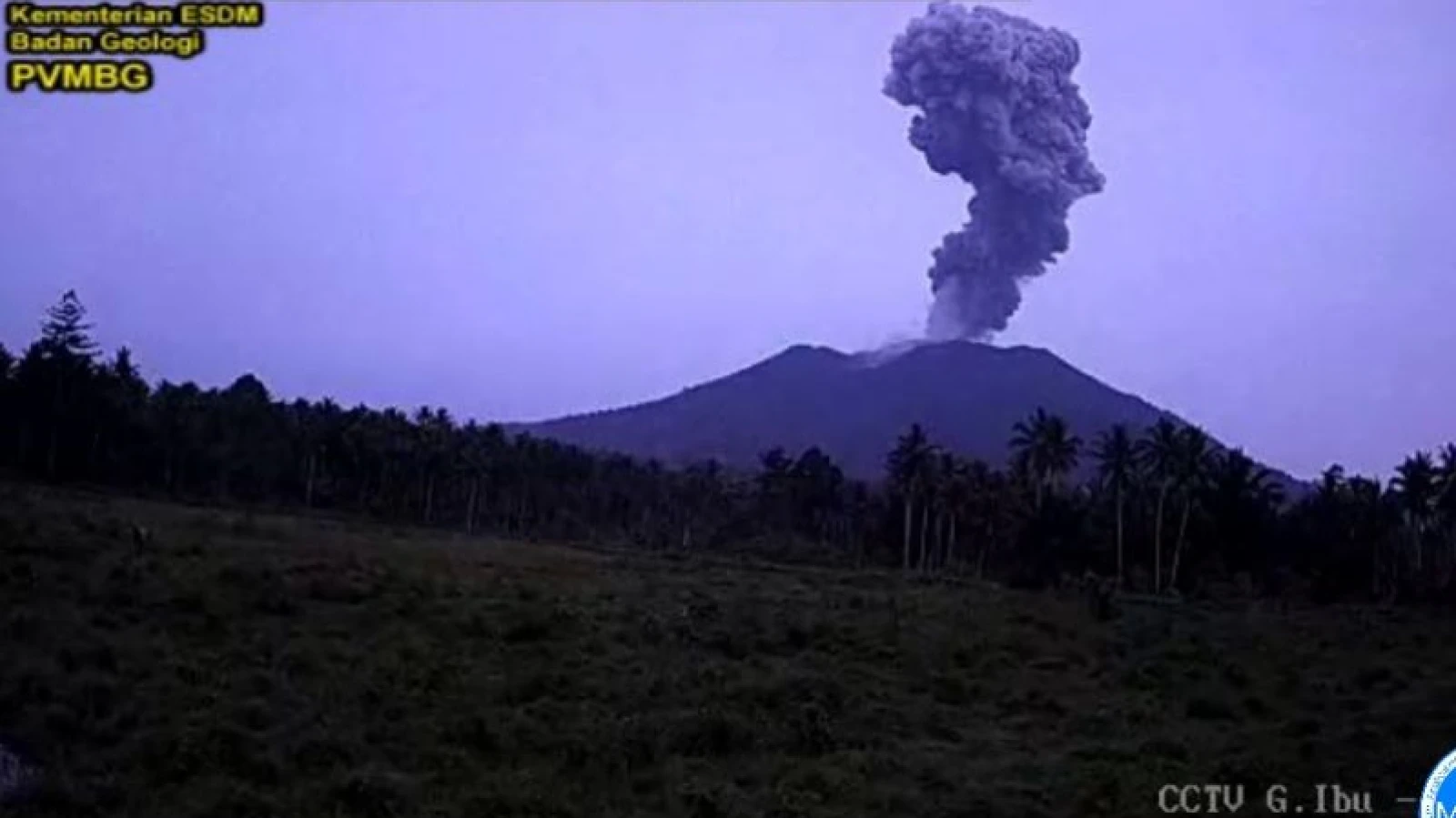 Gunung Ibu Erupsi, Wisatawan Diimbau Tidak Mendekat dalam Radius 2,0 Km