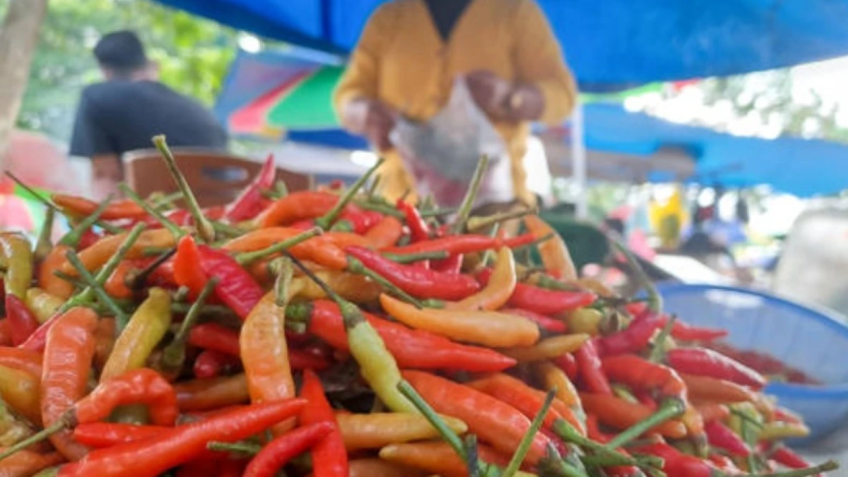Update Harga Pangan Nasional: Cabai Rawit Tembus Rp85.100 per kg, Daging Ayam Rp40.800