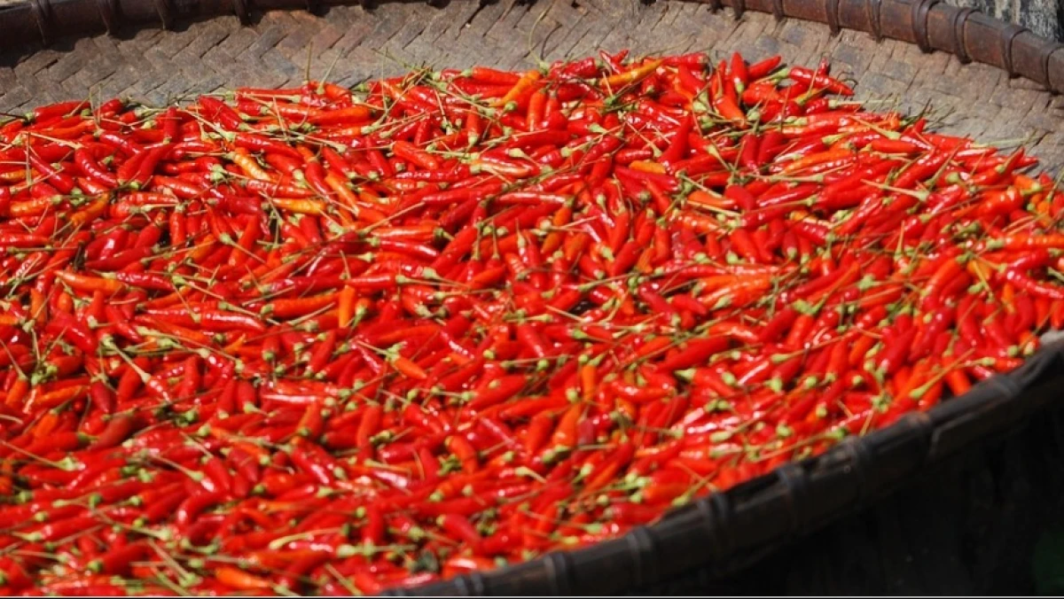 H-3 Lebaran, Harga Pangan Nasional Meroket, Cabai Rawit Tembus Rp92 Ribu, Daging Ayam Ikut Naik