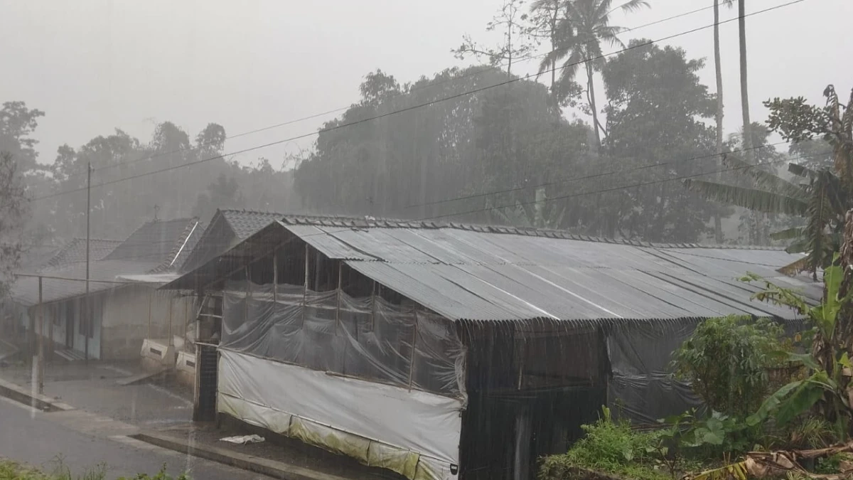 Warga di 14 Wilayah Termasuk Jateng, Banten dan Jakarta Diimbau Siaga Angin Kencang hingga 26 Februari 2026