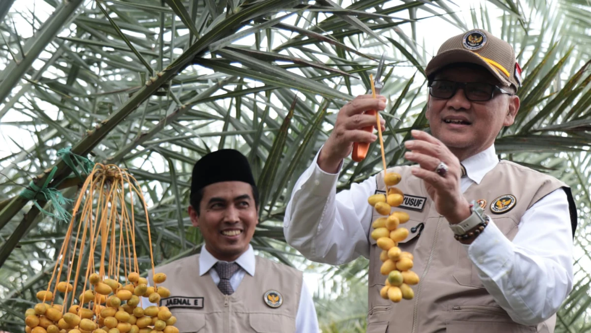 Menhaj Gus Irfan Dorong Pemanfaatan Kurma Lokal sebagai Ekosistem Penyelenggaraan Haji
