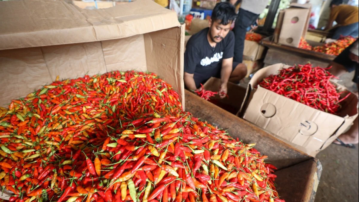 Harga Pangan di Jakarta Hari Ini: Cabai Rawit Merah Naik Rp20.450 Menjadi Rp85.000 per Kg