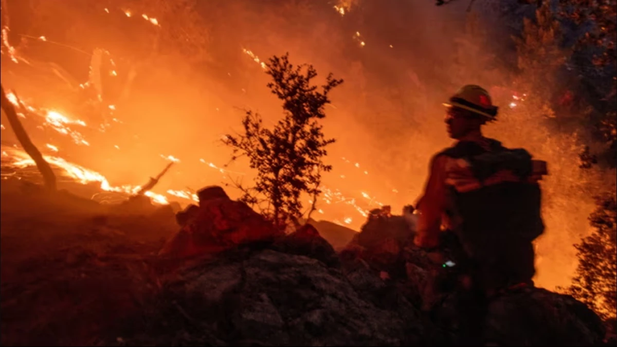 30.000 Hektare Telah Dilalap Api Kebakaran Dahsyat di Los Angeles, 180.000 Orang Dievakuasi