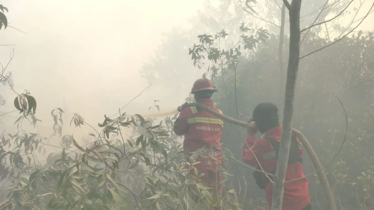 Tim Gabungan Berjibaku Padamkan Karhutla di Riau