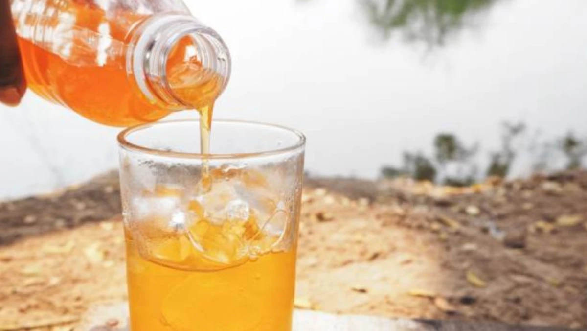 Musim Hujan Tiba, Ini 5 Minuman Kaya Vitamin D yang Ampuh Jaga Tulang dan Imunitas