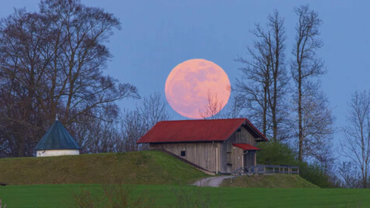 Catat Tanggalnya! Fenomena Langka Pink Moon hingga Hujan Meteor Lyrid Hiasi Langit April 2026