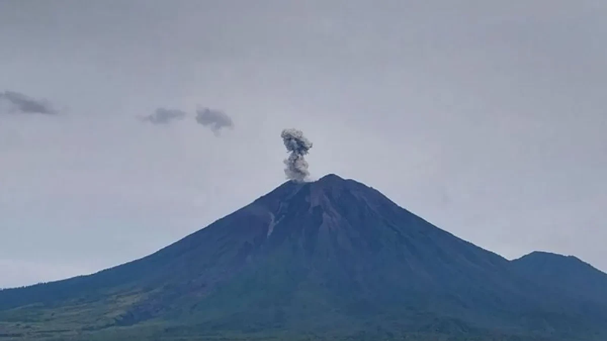 Gunung Semeru 45 Kali Gempa Erupsi dalam 6 Jam, Ini 3 Larangan yang Masih Berlaku