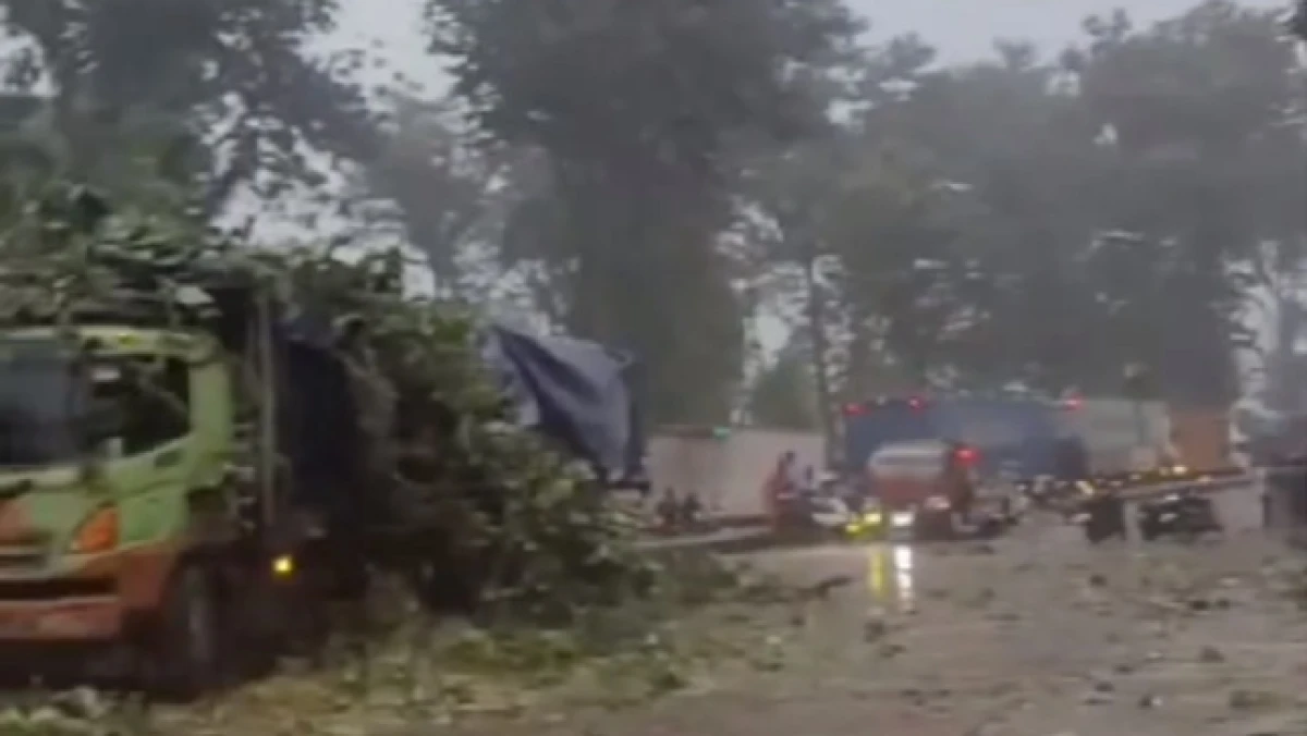 Pohon Bertumbangan, Jalur Pantura Batang Lumpuh Total, Telan Korban Jiwa