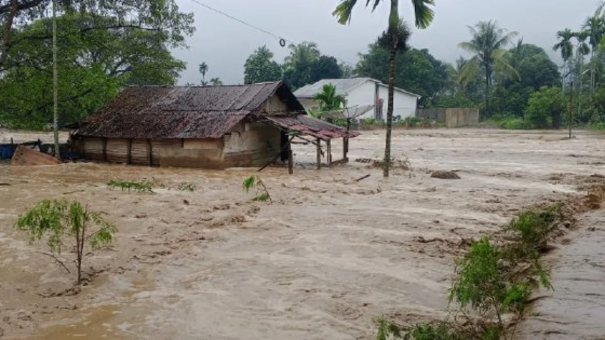Sebanyak 8.440 Warga Nagan Raya Mengungsi akibat Banjir Bandang