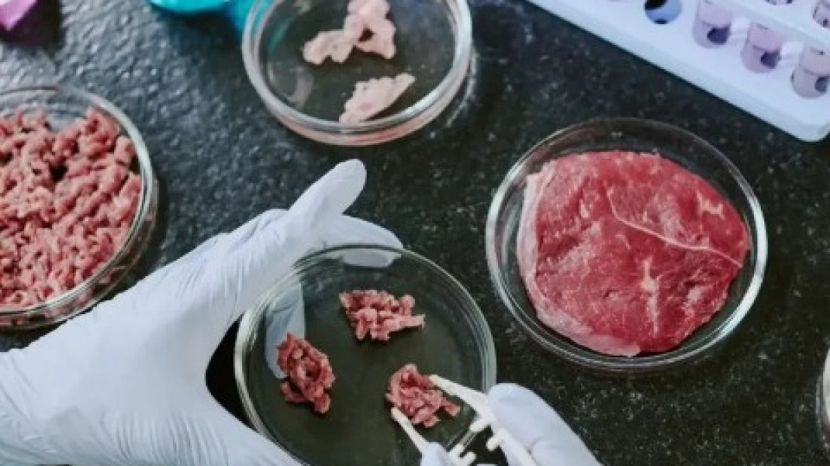 Daging Kultur Jadi Alternatif Protein Masa Depan, Pakar Soroti Tantangan Halal hingga Biaya Produksi
