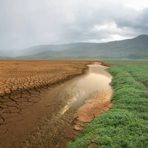 Bersiap Masuk Musim Kemarau, BMKG: Cuaca Cerah Mendominasi, tapi Hujan Masih Intai Sejumlah Wilayah