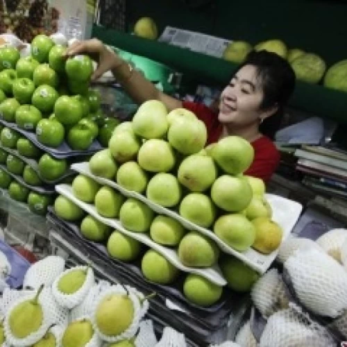 Kemendag Resmi Perketat Impor Komoditas Pertanian, Cek Daftar dan Aturan Barunya