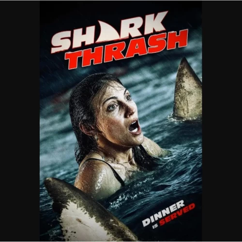 Teror Hiu Menggila, Film Mockbuster ‘Shark Thrash’ Siap Hantui Penonton 15 Mei 2026