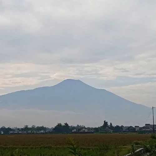 Aktivitas Gunung Slamet Meningkat, PVMBG Wanti-wanti Lonjakan Suhu Kawah dan Gempa Vulkanik