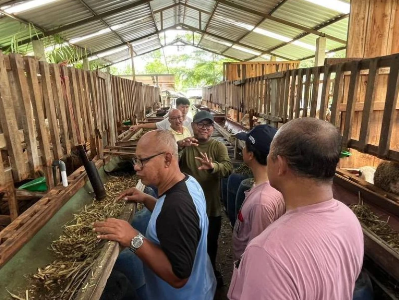 Relaksasi Lewat Belajar Berkebun dan Berternak di Tienji