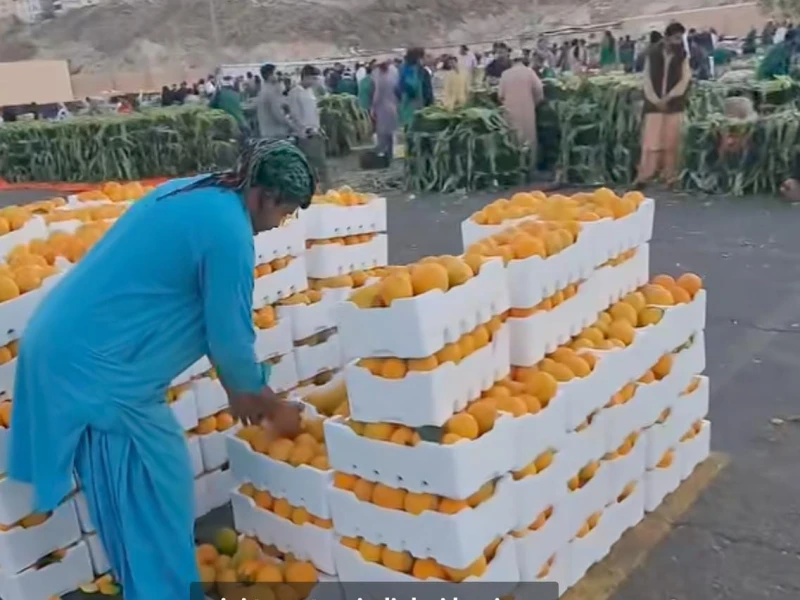 Youtuber Sebut Doa Nabi Ibrahim Terkabul, Tunjukkan Makkah Subur dengan Buah dan Sayuran