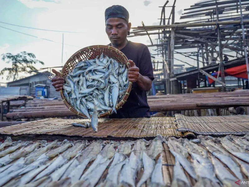 KKP Dorong Perlindungan Konsumen Produk Kelautan Lewat Sertifikasi Halal