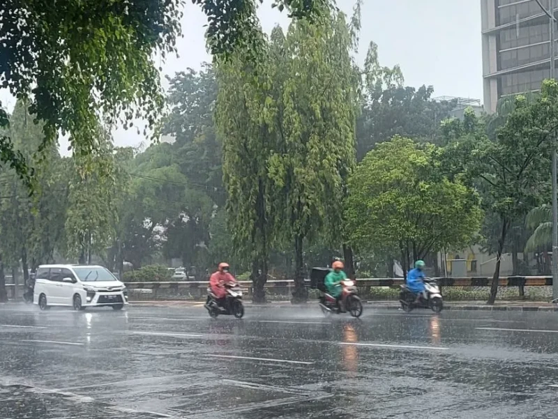 Prakiraan Cuaca Jumat 13 Februari, BMKG: Jakarta Diguyur Hujan Malam Ini