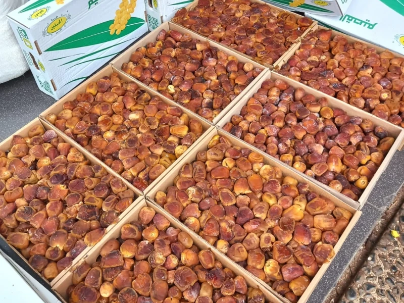 11 Jenis Kurma yang Cocok Jadi 'Teman' saat Ramadan