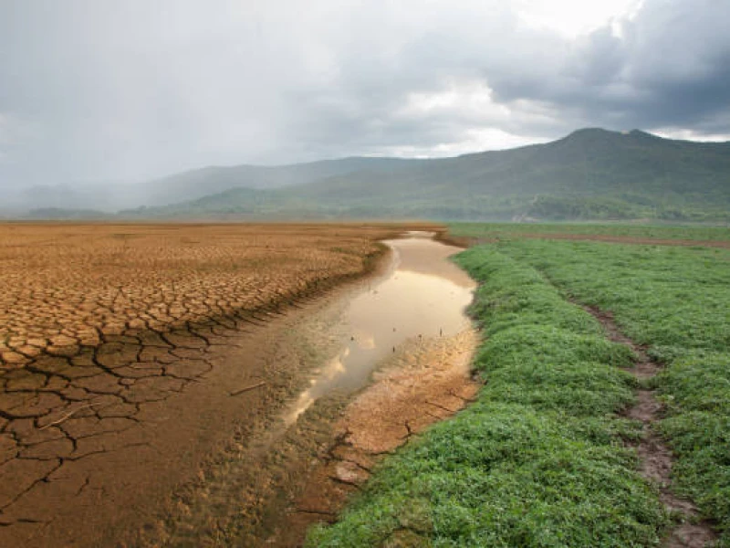 Bersiap Masuk Musim Kemarau, BMKG: Cuaca Cerah Mendominasi, tapi Hujan Masih Intai Sejumlah Wilayah