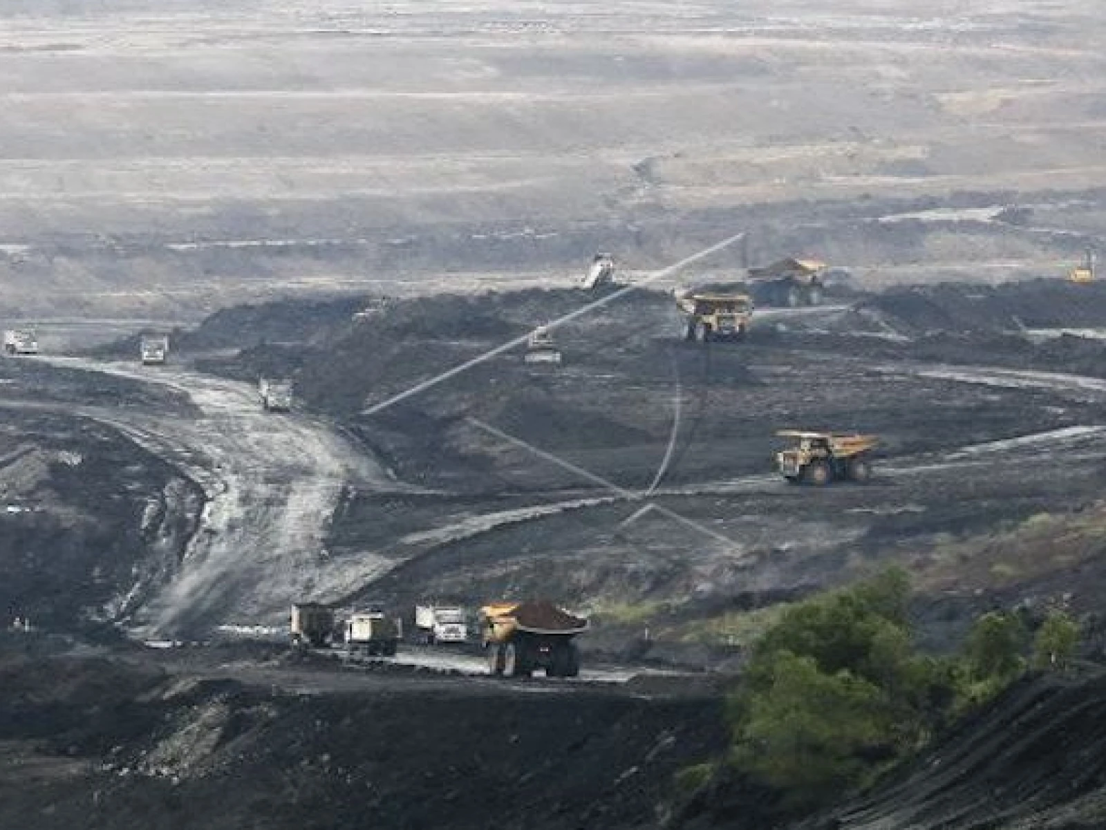 Saham PTBA Rally 3 Hari Berturut-turut Efek Harga Batu Bara Menguat