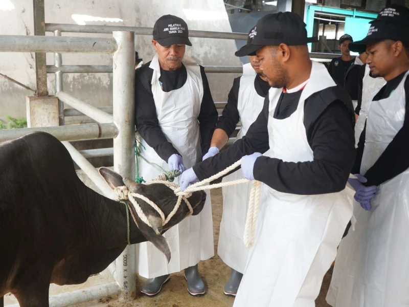 Peran Juleha Dinilai Penting untuk Memastikan Kehalalan Produk