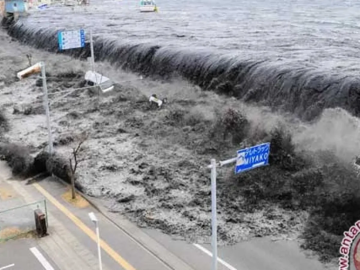 BMKG: Tsunami Jepang Tidak Berpotensi Terjadi di Indonesia