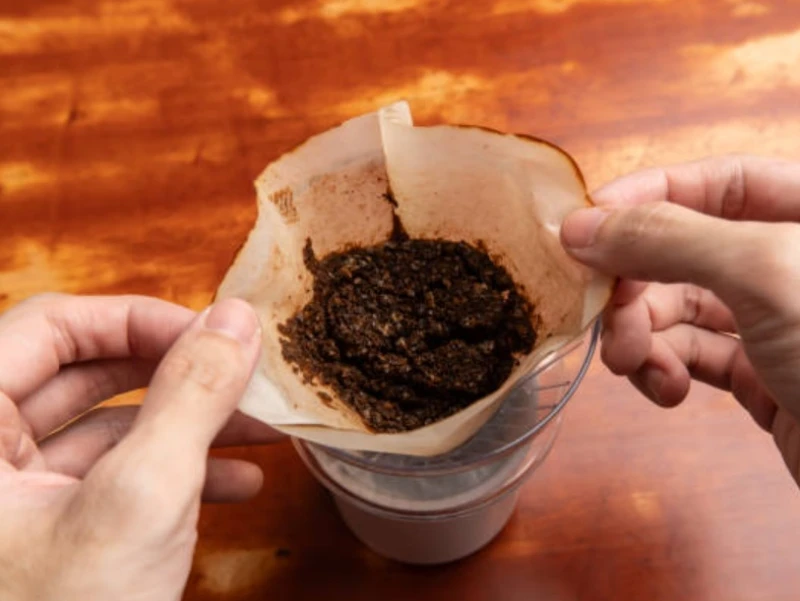 Jangan Dibuang! Ampas Kopi Ternyata Bisa Mengangkat Sel Kulit Mati, Ini Sederet Manfaat Lengkapnya!