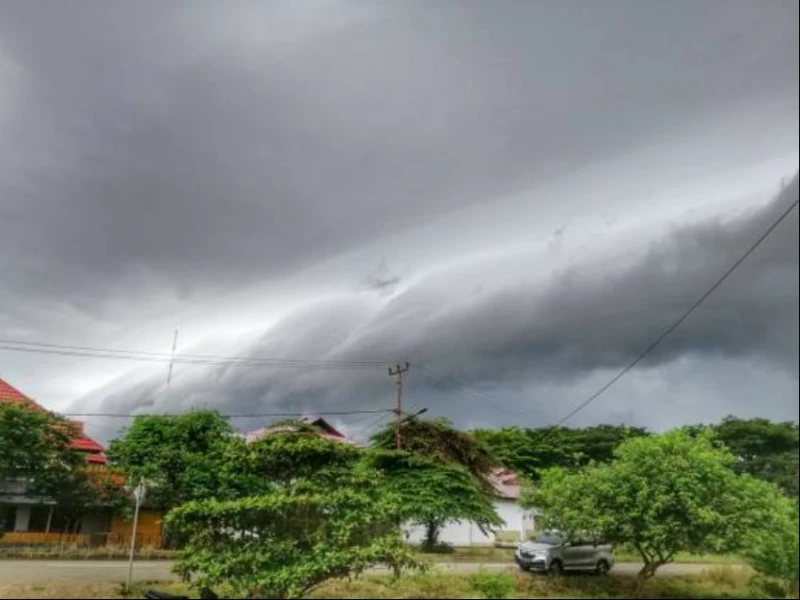 Waspada! BMKG Tetapkan 10 Wilayah Siaga Angin Kencang hingga 1 Januari 2026, Jatim dan Bali Masuk Daftar