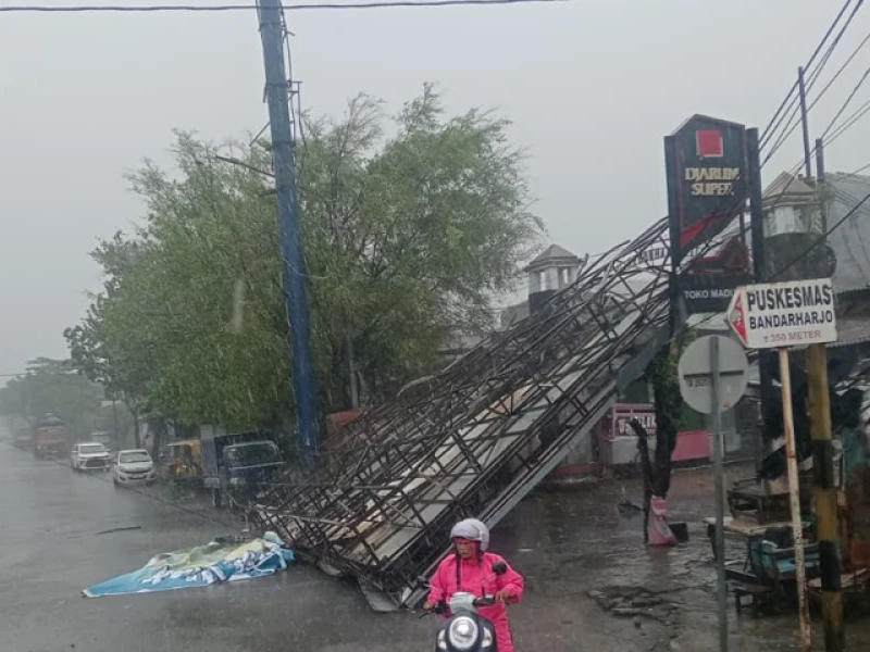 Hujan Badai Terjang Semarang: Puluhan Pohon Tumbang, 1 Orang Meninggal