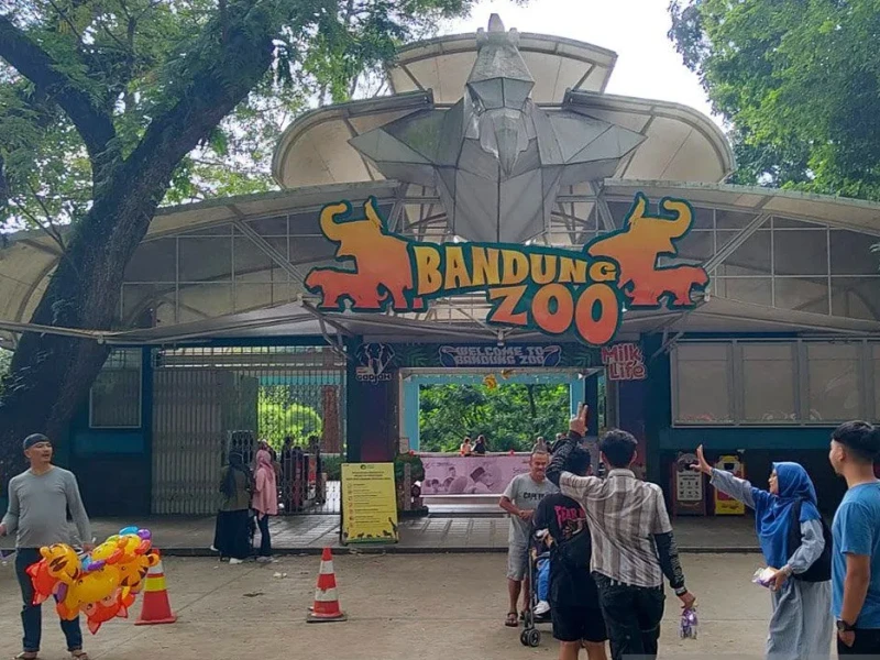 Babak Baru Kasus Bandung Zoo: Polda Jabar Tetapkan Sri Devi sebagai Tersangka