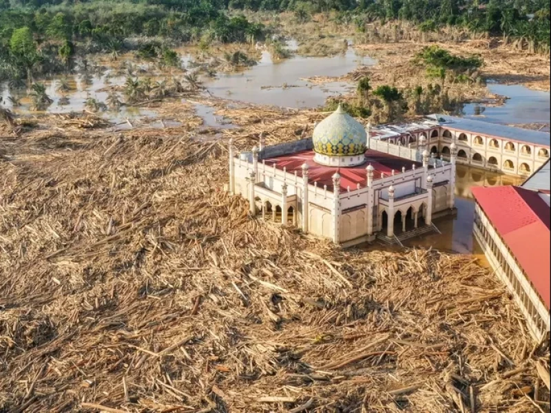 WWF: Bencana Banjir Bandang Sumatera Akibat Akumulasi Kerusakan Lingkungan Belasan Tahun