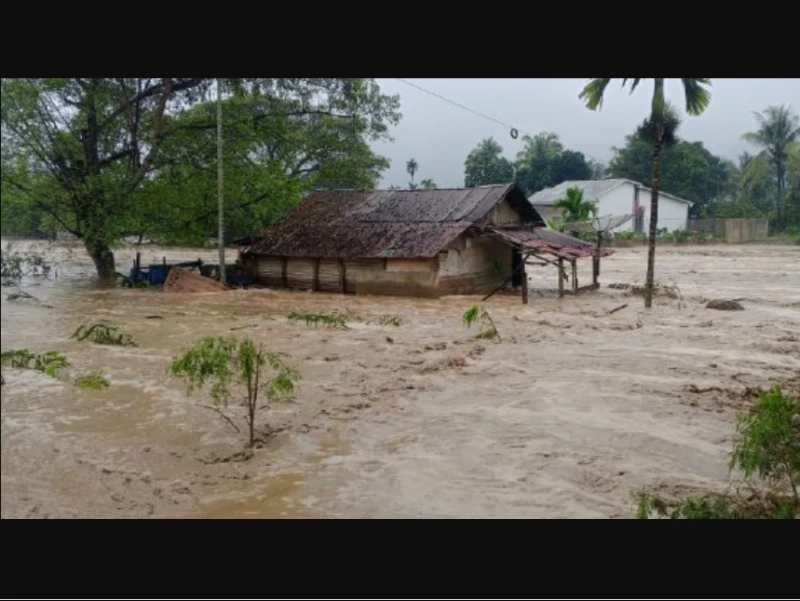 BNPB: Jumlah Korban Meninggal Akibat Bencana Banjir-Longsor di Sumatera Tembus 992 Jiwa