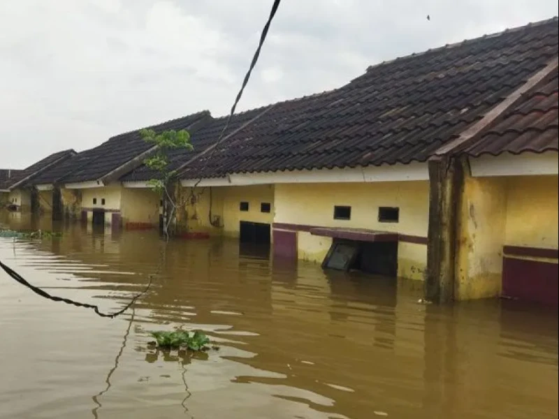 Banjir Rendam 24 Kecamatan di Kabupaten Tangerang, 50.000 Warga Terdampak