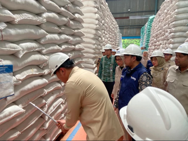 Rekor Baru! Stok Beras RI Tembus Rekor 5 Juta Ton, Tertinggi Sepanjang Sejarah