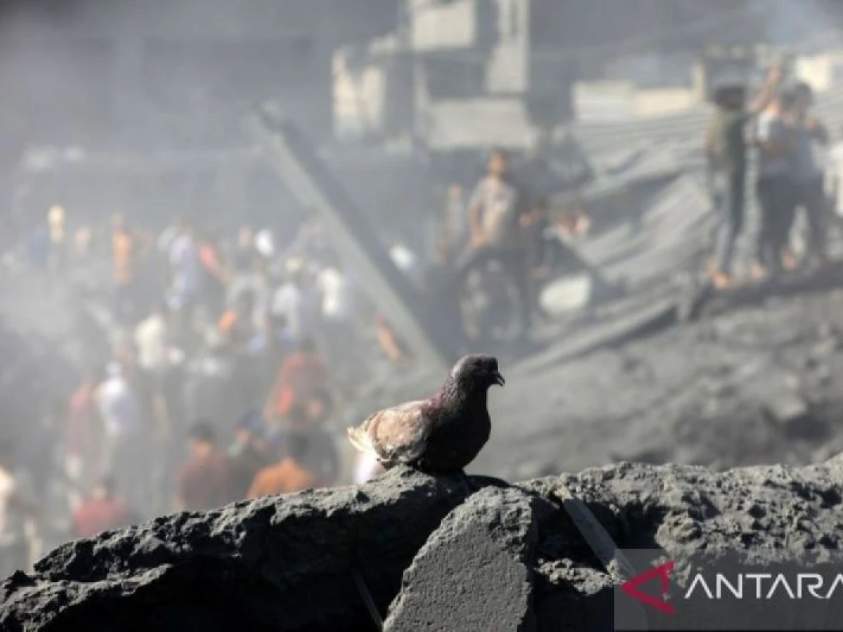 Prancis Minta Gencatan Senjata Berkelanjutan Diterapkan di Gaza