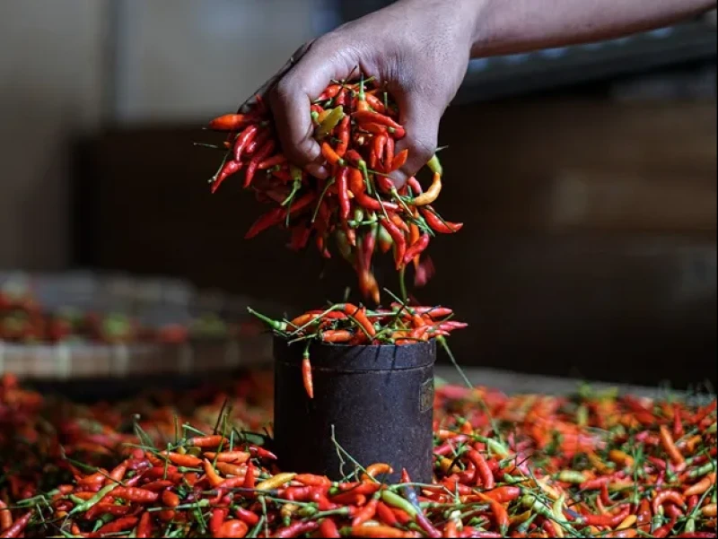 Harga Pangan di Jakarta 6 Februari: Cabai Rawit Makin Pedas Tembus Rp92.700 per Kg