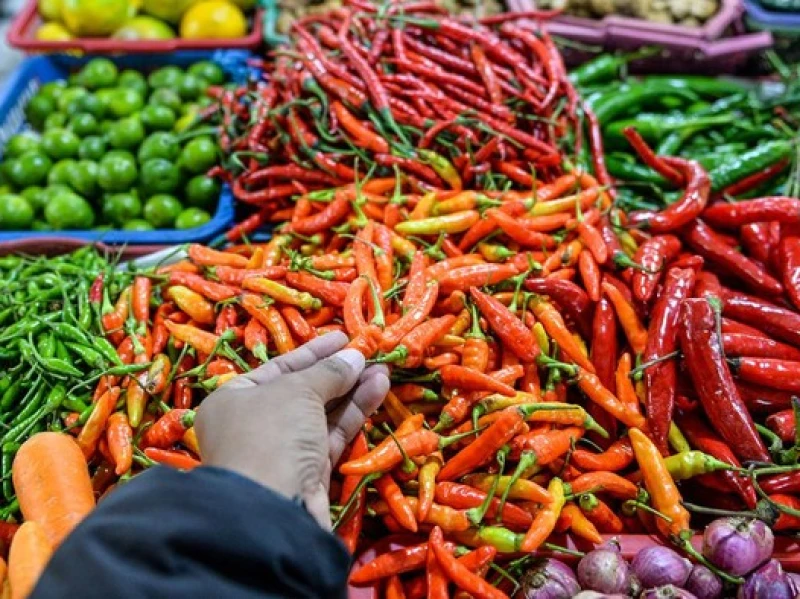 Harga Pangan di Pasar Tradisional Jakarta 16 Januari: Cabai Terjun Bebas