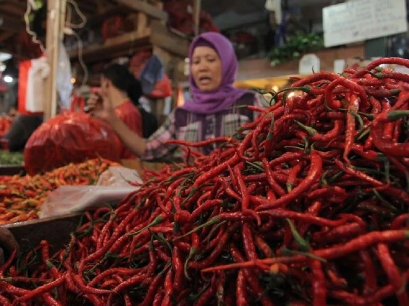 Harga Pangan di Jakarta 19 Januari: Cabai Masih Terus Turun, Beras dan Minyak Stabil