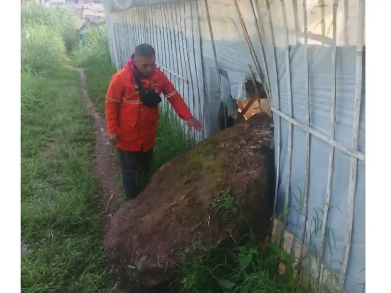 Ngeri! 3 Batu Raksasa Menggelinding dari Gunung Batu Lembang, Ini Penjelasan Badan Geologi