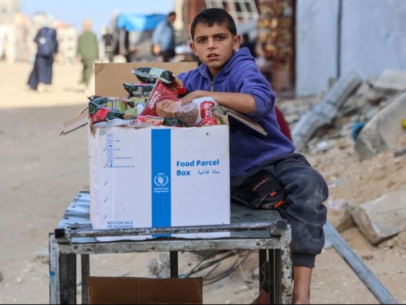 Hamas Nyatakan Siap Gencatan Senjata Segera namun Israel Disebut Belum Tawarkan Proposal yang Serius