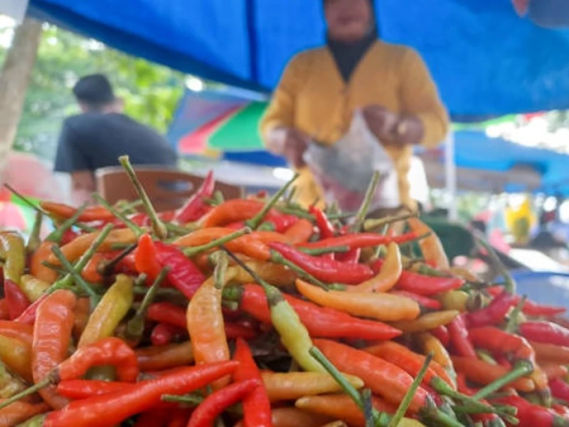 Update Harga Pangan Nasional: Cabai Rawit Tembus Rp85.100 per kg, Daging Ayam Rp40.800