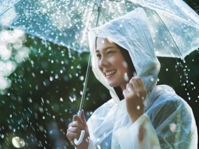 Cuaca Hari Ini: Jabodetabek Diguyur Hujan Jelang Siang, Waspadai Angin Kencang di Wilayah Bogor